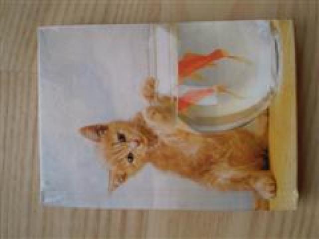 Daiktas Adresų knygutė