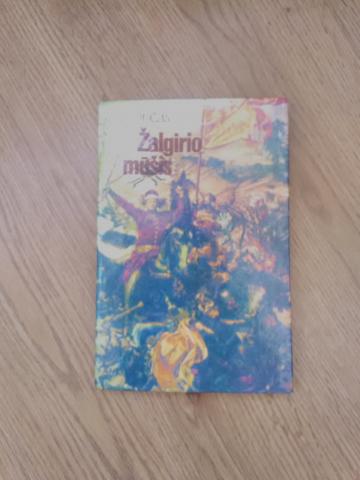 Daiktas zalgirio musis