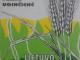 Lietuva prie balto stalo. Vasara Vilnius - parduoda, keičia (1)