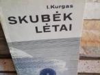 Daiktas Skubėk lėtai (vairuotojų psichologija)  1€