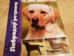 Daiktas Labradoro retriveris (rusų k.)   3€