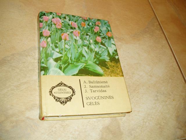 Daiktas Svogūninės gėlės 1€