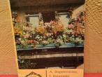 Daiktas Balkonų apželdinimas (Gėlių augintojui) 1€
