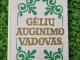 Knyga "Gėlių auginimo vadovas" Vilnius - parduoda, keičia (1)
