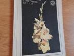 Daiktas Gladijolės, jurginai, kanai (rusų kalba)  1€  (rezervuota)
