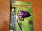 Daiktas Gamtos lobiai (žurnalo Miškai priedas) 1€