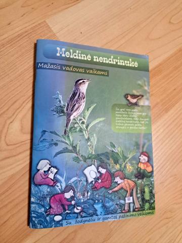 Daiktas Meldinė nendrinukė 2€