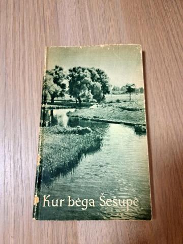 Daiktas Kur bėga Šešupė 2€