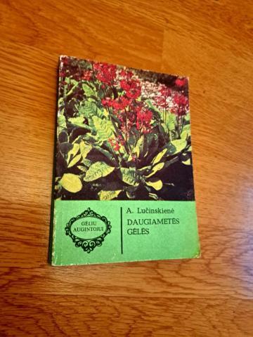 Daiktas Daugiametės gėlės 1€