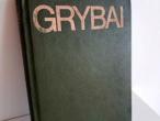 Daiktas Grybai 1,50€