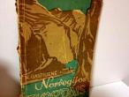 Daiktas Norvegijos fiordais 2€