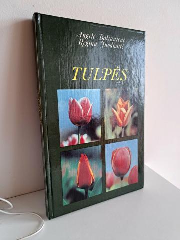 Daiktas Tulpės 2,50€