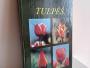 Daiktas Tulpės 2,50€