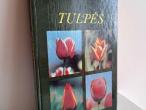 Daiktas Tulpės 2,50€