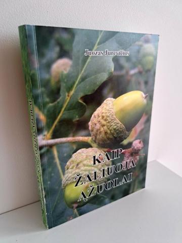 Daiktas Kaip žaliuoja ąžuolai 1,50€