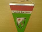 Daiktas Kauno Zalgiris vimpelas