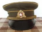Daiktas Lietuvos armijos kepure
