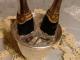 Sovietinis suvenyras šampanai lede Ukmergė - parduoda, keičia (1)
