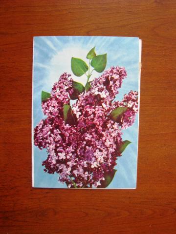 Daiktas Telegrama (8) 1979 m.