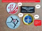 Daiktas Šveicarijos oro pajėgų eskadrilės emblemos