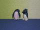62. Kinder siurprizo (surprise) kolekcines figureles: pingvinai Kėdainiai - parduoda, keičia (1)