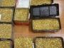 Daiktas whatspp(+371 204 33160)Gold bars for sale-gold bars -buy gold bars