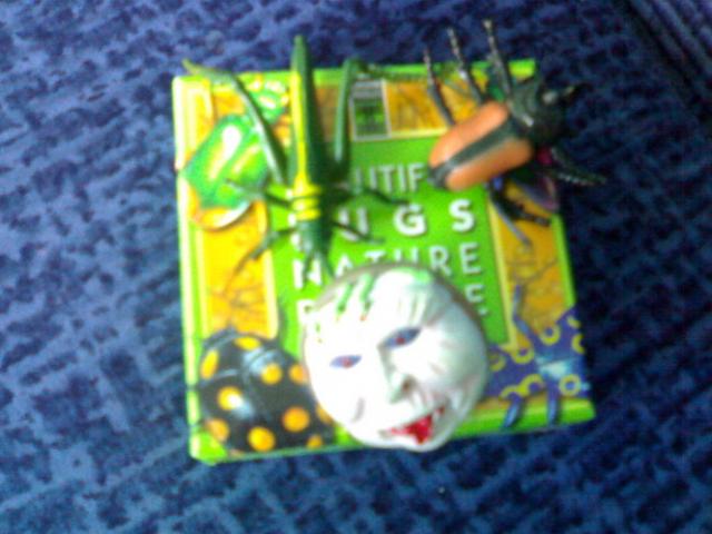 Daiktas Beautiful bugs nature - galvosukis