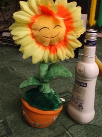 Daiktas Grojanti-šokanti gėlytė :)