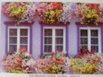 Daiktas puzzle new england cottage 750