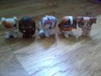 Daiktas Littlest Pet Shop