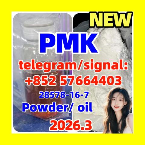 Daiktas spot supplies PMK :28578-16-7 Safe customs clearance