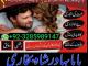 online amil baba islamabad amil baba black magic expert in islamabad, online amil baba online istikhara, get love back contact for any Šiauliai - parduoda, keičia (4)