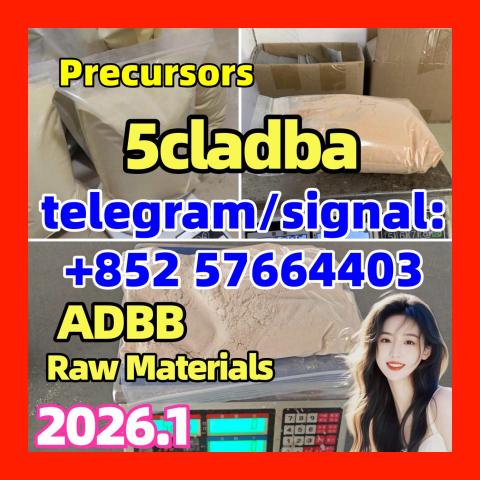 Daiktas 5cladba adbb 5fadb jwh-018 precursor 甲方根据