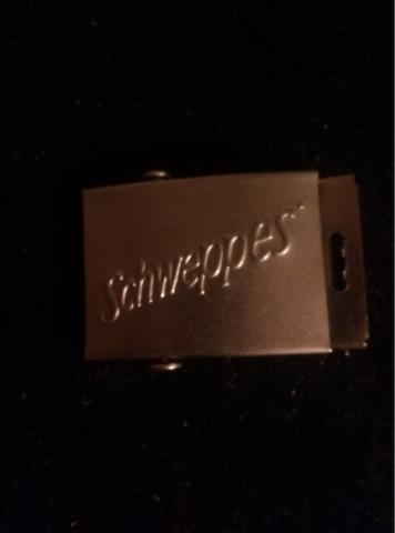 Daiktas Dirzo sagtis schweppes