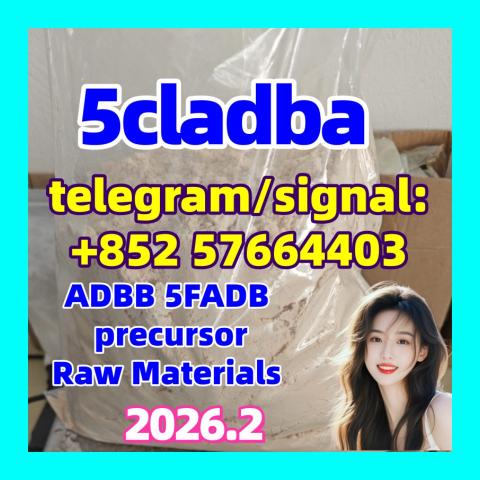 Daiktas 5cladba raw material 5CL precursor 