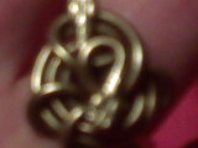 Daiktas kitas ziedas zalvarine gyvatuke 