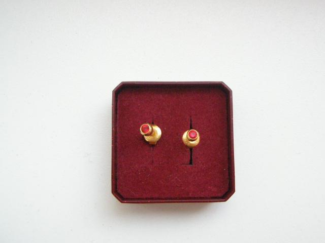 Daiktas Gydomieji auskarai