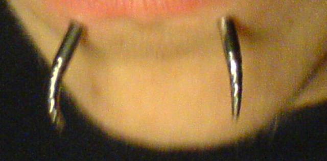 Daiktas Lupos auskarai