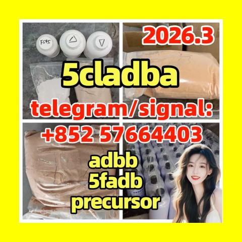 Daiktas 5cladba 5cladba yellow powder 5cl-adb-a 5f-Adb 5fadb