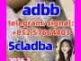 Daiktas 5cladba raw material  precursor raw 5cladba 5f adb 4fadb 1119-51-3 68-12-2 dmf 