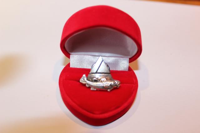 Daiktas Sidabrine sege