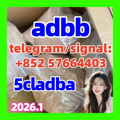 Daiktas 5cladbb 5cladba 5cl powder 6cl