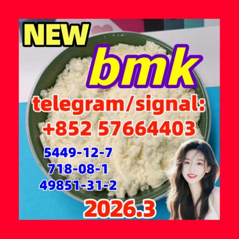 Daiktas 5449-12-7 BMK Glycidic acid (sodium salt)荷兰