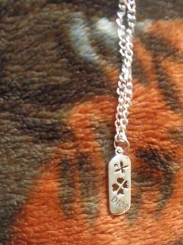 Daiktas Dior pakabukas