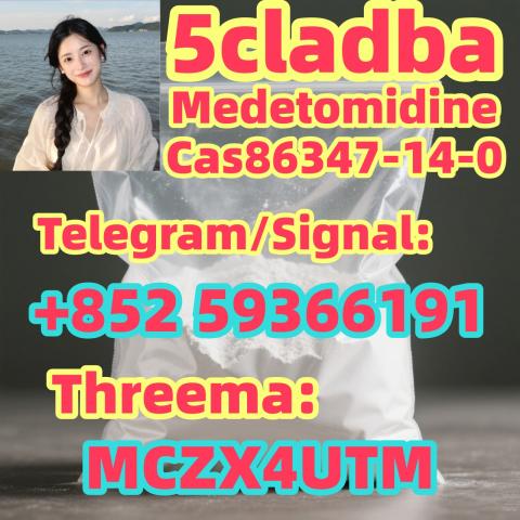 Daiktas high purity Medetomidine cas 86347-15-1
