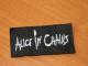 Daiktas antsiuvas Alice In Chains