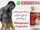 Daiktas Maxpower Capsules in Pakistan