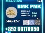 Daiktas new 5449-12-7 BMK pmk Factory supply