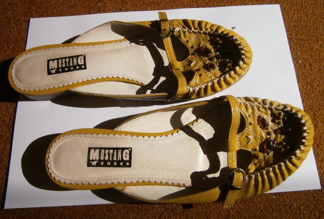 Daiktas geltonos įsispiriamos šliopkės