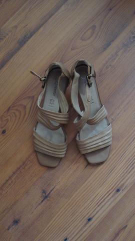 Daiktas patogios sv, rudos basutes-Lorenzo